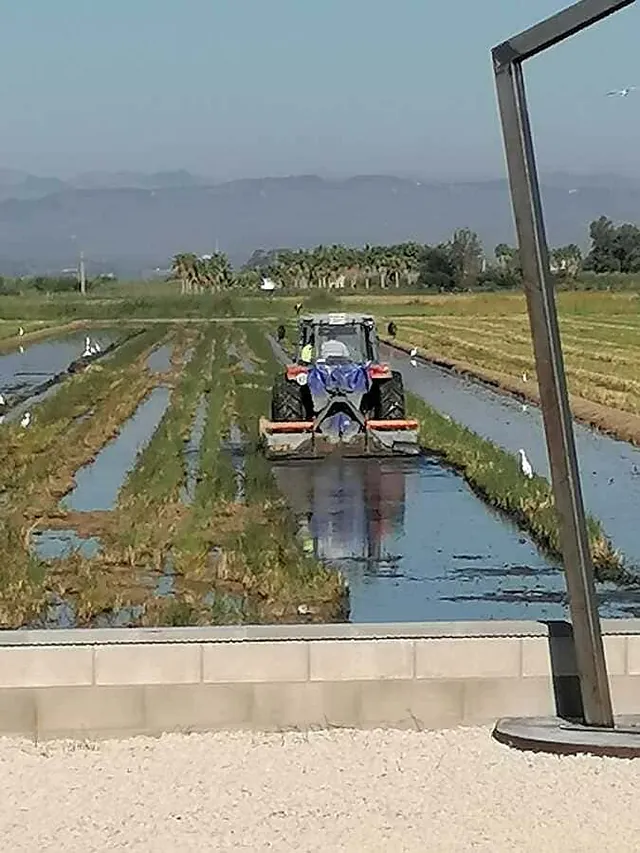 La Caseta Del Canal zonas verdes y entorno de la casa